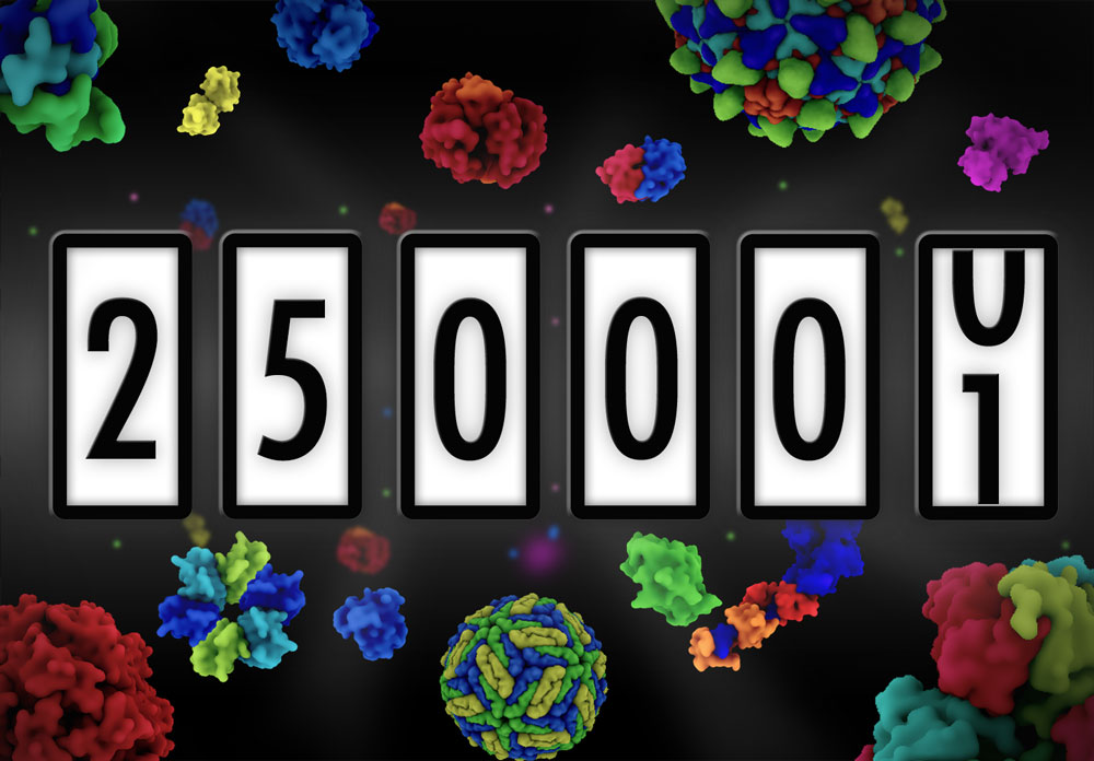 The PDB contains more than 250,000 entries