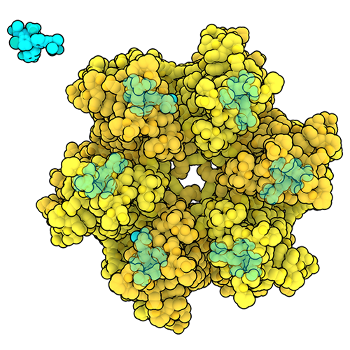 RCSB PDB Molecule of the Month
