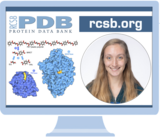 PDB-101 Focus: Biotechnology