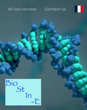 Education Corner: BioStinE