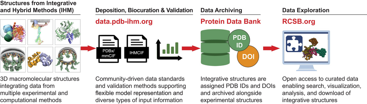 <I>Graphical Abstract from: doi: 10.1093/nar/gkaf1187</I>