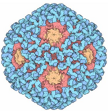 March 4 is International HPV Awareness Day