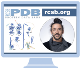 Watch the Exploring CSMs at RCSB.org Office Hour