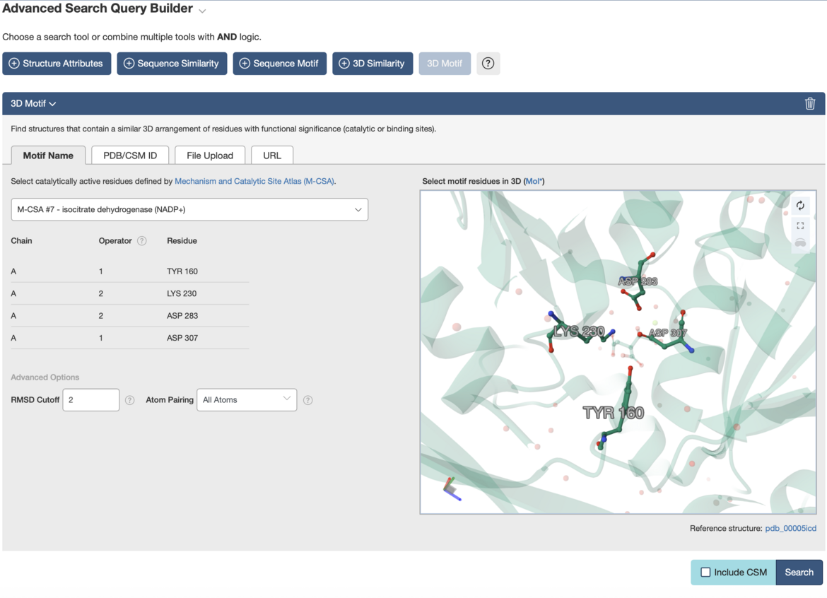 <I>3D Motif Search</I>