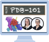 Register for the February 19 Virtual Office Hour on PDB-101
