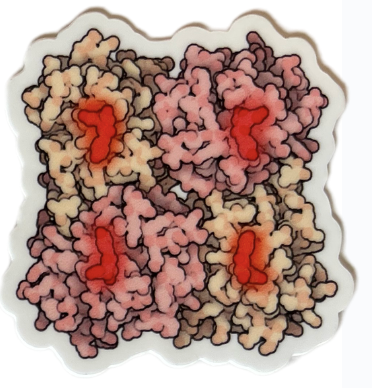 Take the PDB-101 User Survey and Win